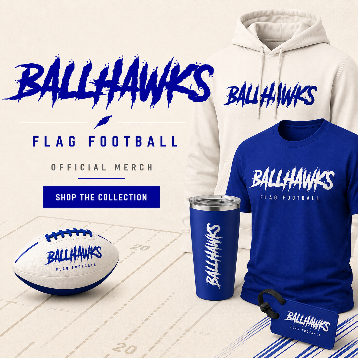 Ballhawks